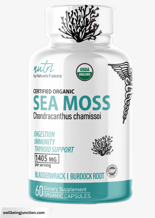 Sea Moss: Benefits, Risks, and Usage Guide