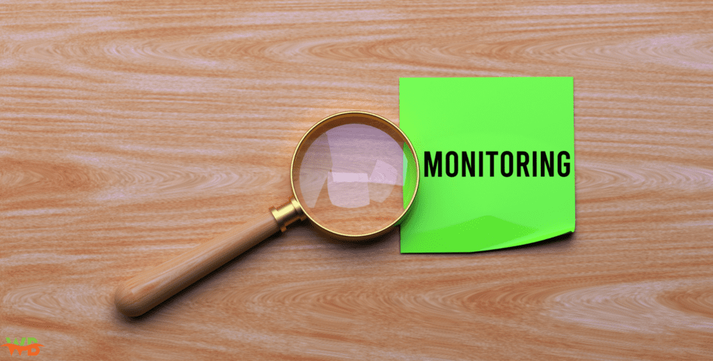 Credit Monitoring and Maintenance