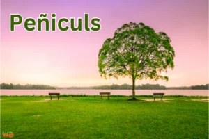 Peñiculs