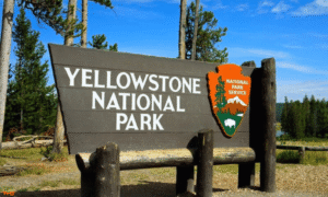 Yellowstone National Park