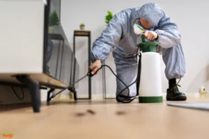Comprehensive Pest Control Services: Protecting Your Home and Health Pest Control Services