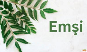 Emşi: Cultural Significance, Culinary Versatility & Health Benefits Emşi
