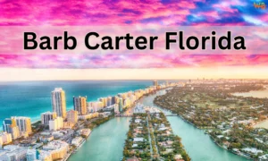 Barb Carter Florida: Real Estate Appeal and Lifestyle Insights Barb Carter Florida
