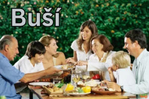 Buší: Unveiling Origins & Meanings Buší