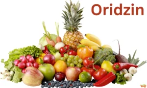 Oridzin Benefits: Enhance Health with Natural Flavonoids Oridzin