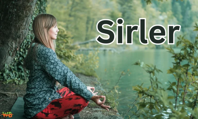 Sirler