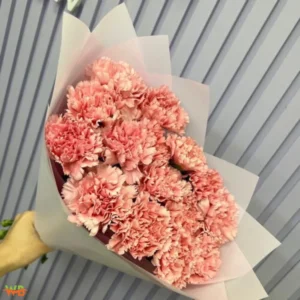 Choosing the Carnation Bouquet for Different Occasions in Warsaw Bouquet