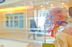 Healthcare Education