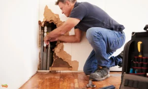 Water Leaks