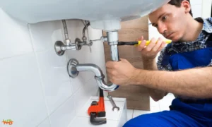The Plumbing Fixtures That Benefit Most from Yearly Maintenance Plumbing Fixtures