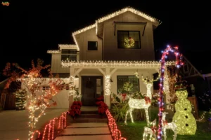 Holiday Light Installation in Denver CO - Best Service Holiday light installation in Denver CO