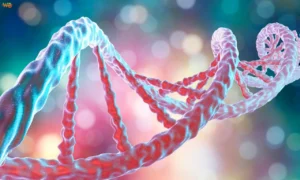 Genetic Testing for Athletes: Creating Personalized Training Plans Genetic Testing for Athletes