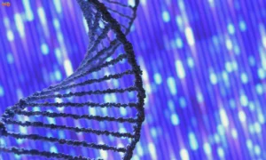 Genetic Testing
