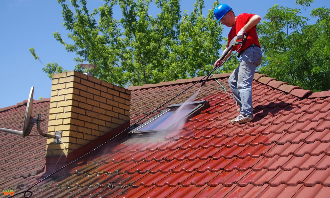 Roof Cleaning Company