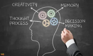 Why Your Energy Levels Impact Your Ability to Focus and Concentrate Energy Levels