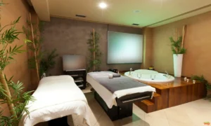 The Benefits of Luxury Detox and Addiction Treatment Facilities: A Focus on California Addiction Treatment Luxury Detox