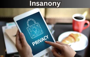 Insanony: Anonymous Instagram Story Viewing Made Easy Insanony