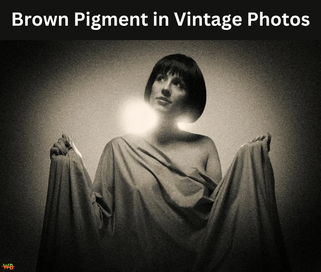 Brown Pigment in Vintage Photos