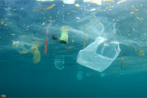 Climate Change Solutions: Act Now for a Greener Future Climate Change