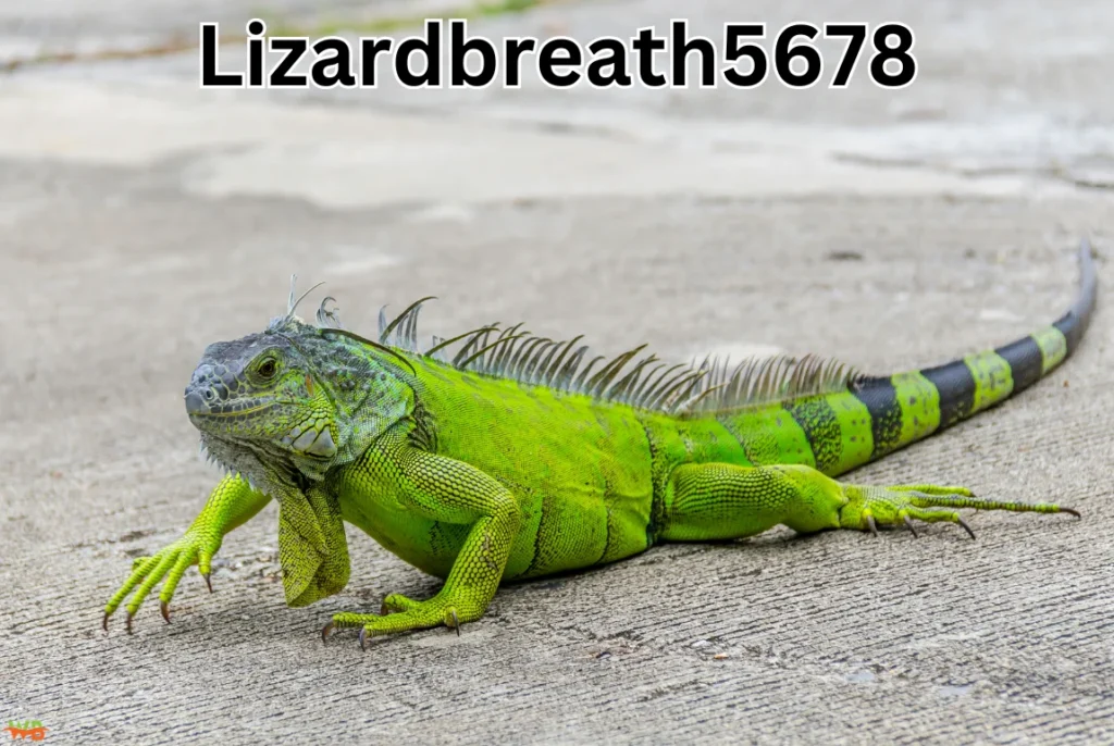 Lizardbreath5678