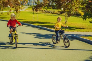 Top Reasons to Choose an Outdoor Recumbent Bike for Your Fitness Routine Recumbent Bike