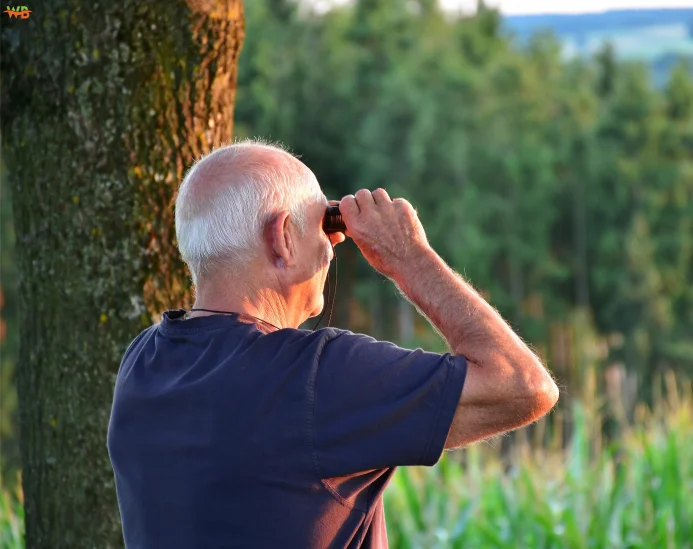 Tips for Observing Lizards in the Wild