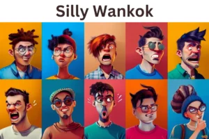Silly Wankok