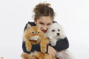 Pets