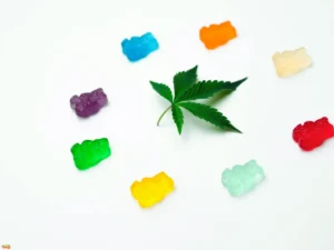 CBD Edibles: A Tasty and Convenient Way to Experience Wellness Benefits CBD Edibles