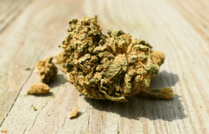 CBD Flowers: Uncovering Applications, Best Types, and Advantages CBD Flowers