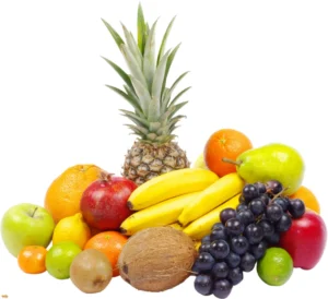 Prebiotics