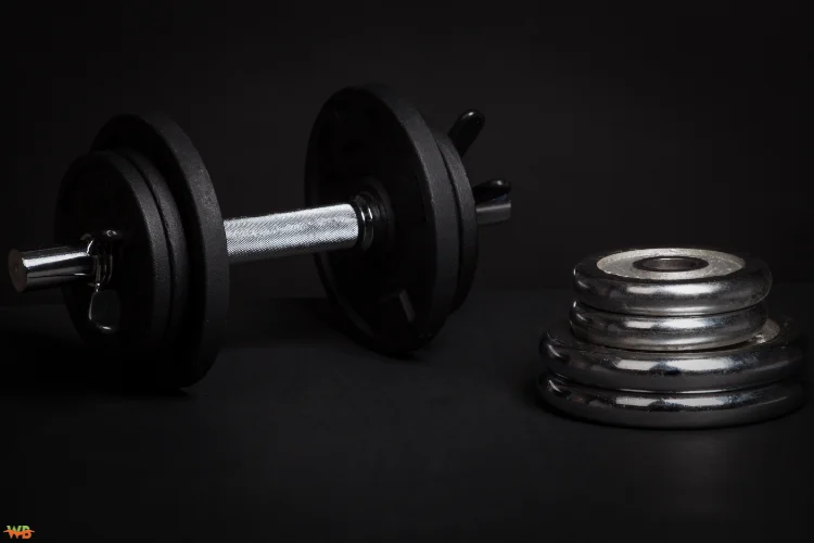 Are Adjustable Dumbbells Bulky?