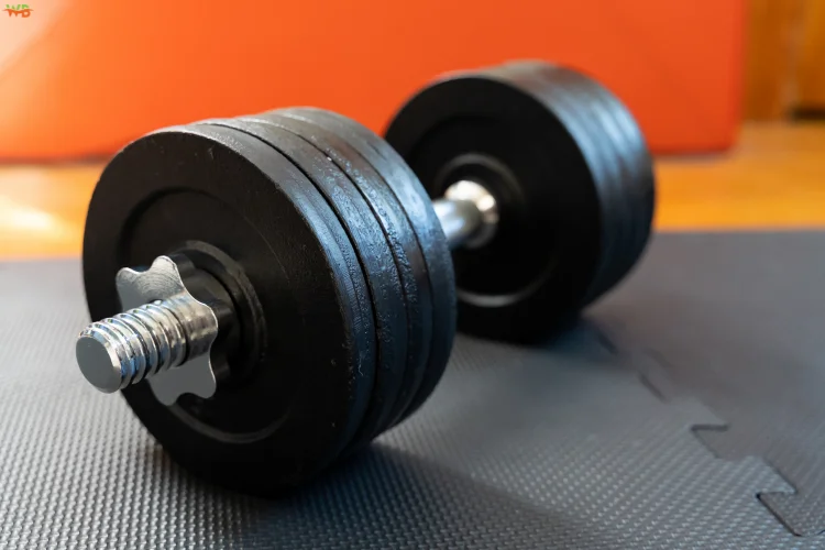 What should you look for when buying Adjustable Dumbbells?