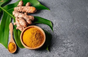 Nature’s Helpers: Species That Boost Circulatory Health Circulatory Health