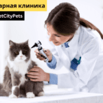 Ветеринарная клиника VetCityPets