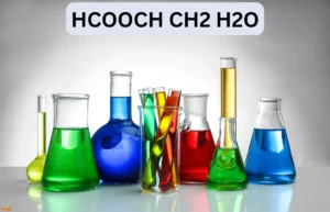HCOOCH CH2 H2O