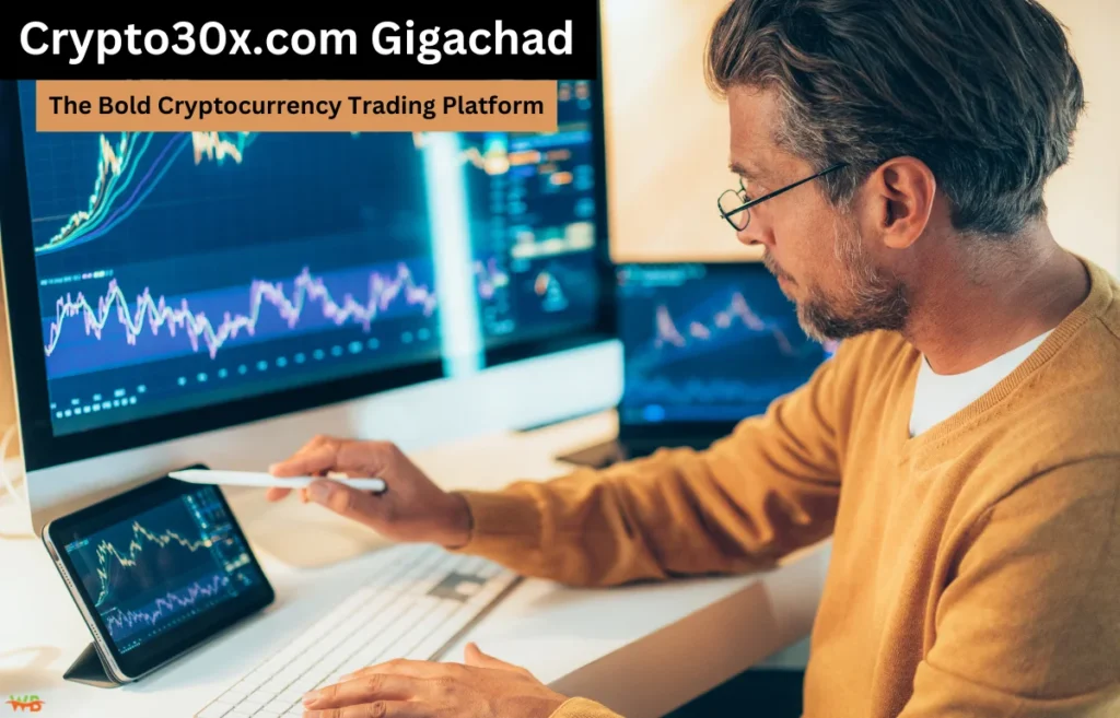 Crypto30x.com Gigachad