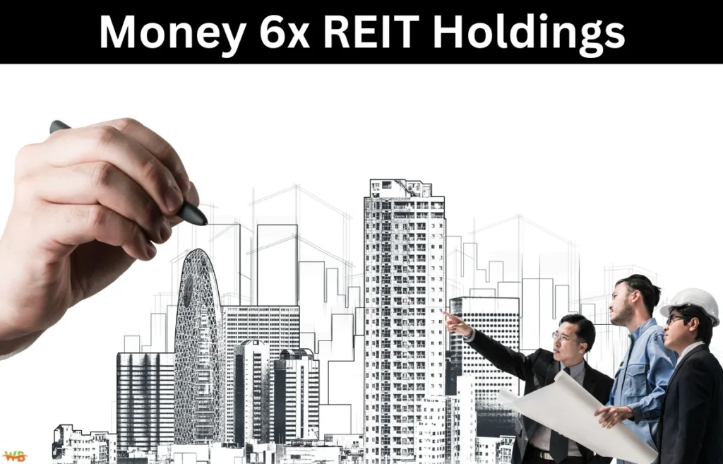 Money 6x REIT Holdings