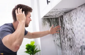How a Hazardous Conditions Attorney in Sacramento, California Can Help Hazardous Conditions Attorney