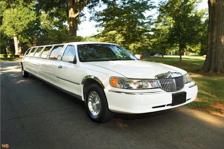 Luxury Limo Options to Match Your Wedding Theme