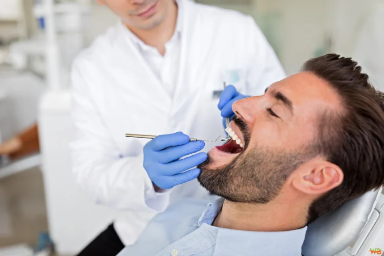 Schedule Regular Dental Checkups