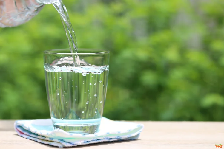 Water: The Ultimate Mouth Cleanser