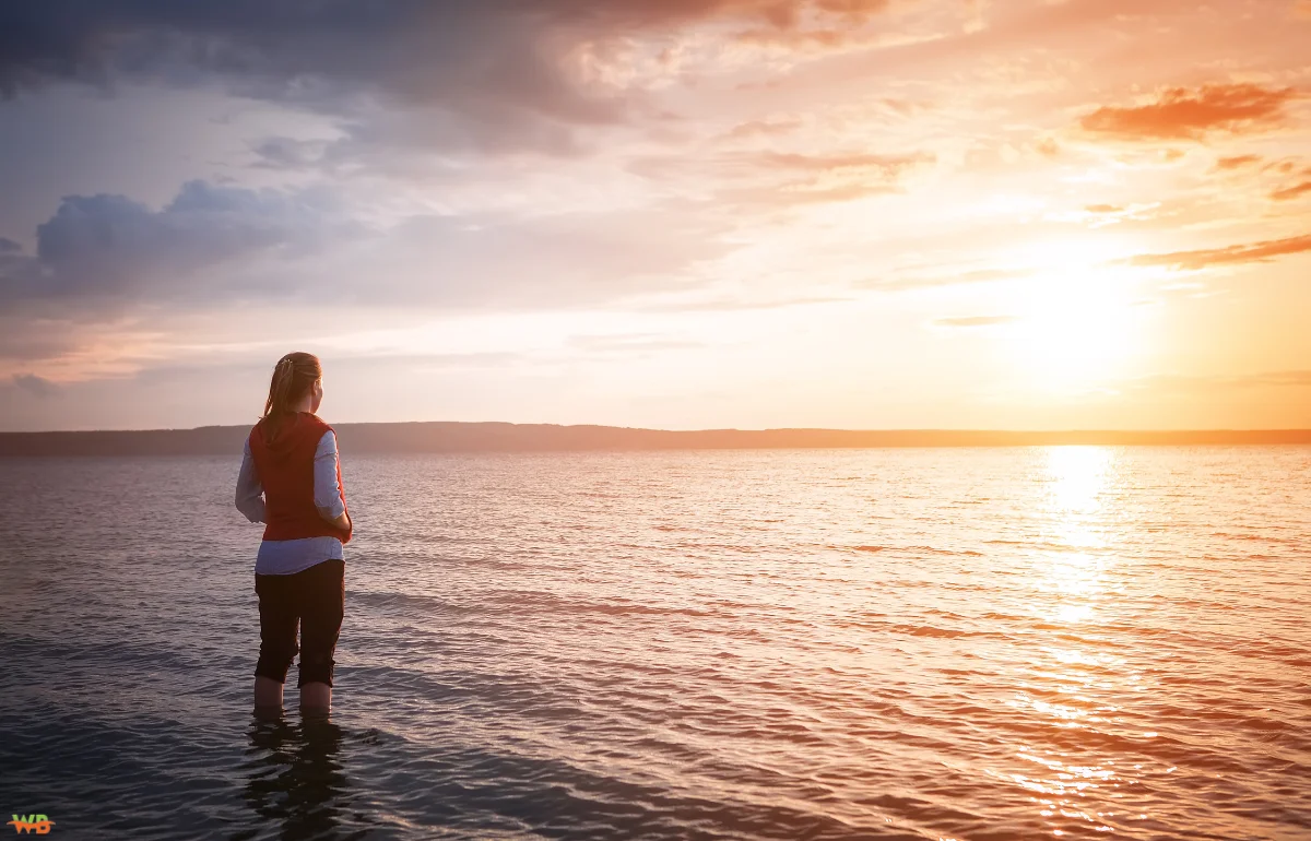 Recovery from Addiction
