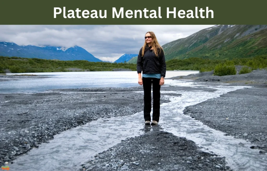 Plateau Mental Health
