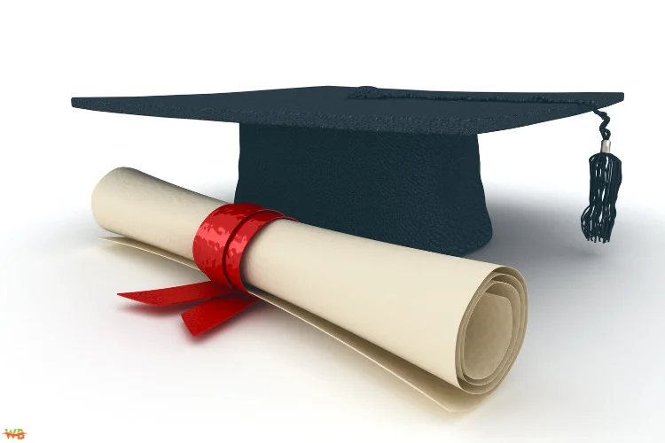 Clinical Mental Health Counseling Salary: Key Factors