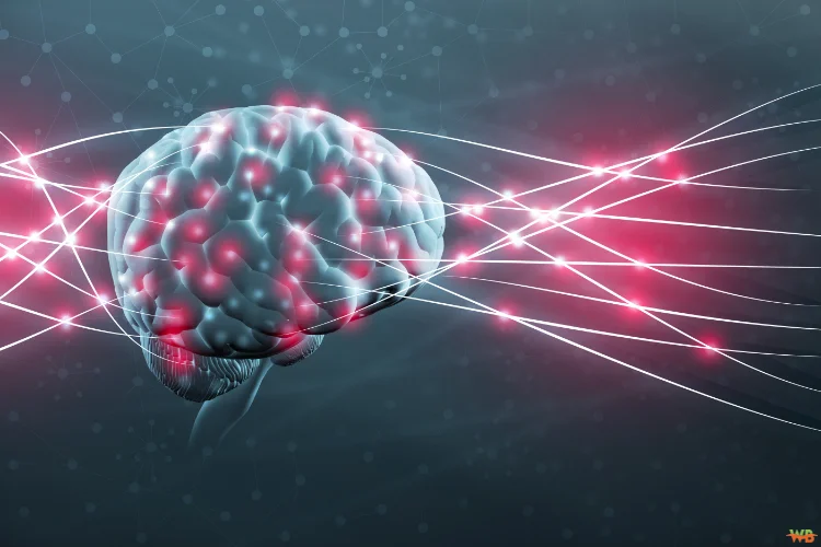 Identifying the Origins of Mental Health Disorders