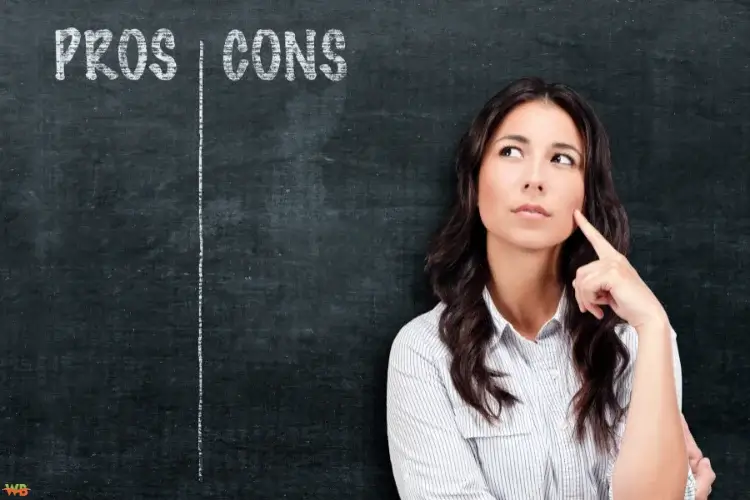 Is Zryly.com the Right Platform for You?