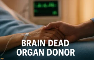 brain dead organ donor