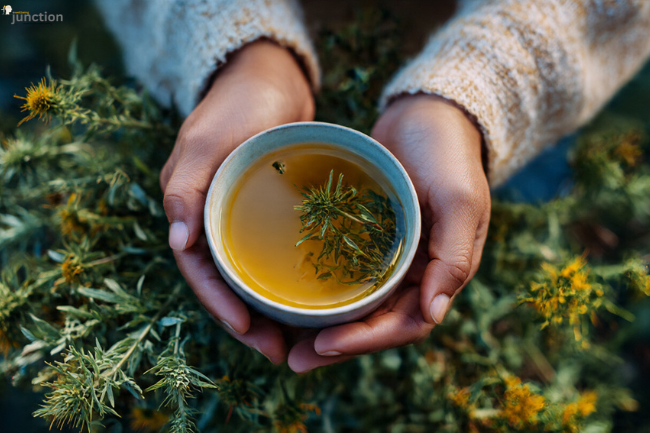 Hands holding a bowl of herbal tea with fresh leaves, symbolizing natural wellness and Candizi purity.