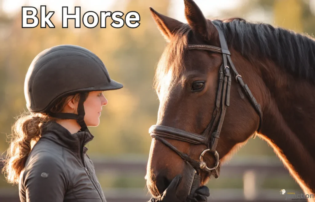 A female rider in a helmet looking affectionately into the eye of her brown horse, embodying the Bk Horse philosophy of partnership and trust.